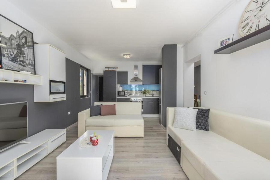 Apartment Zak Novigrad  Ngoại thất bức ảnh